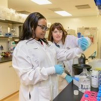 Une opportunité unique pour les chercheuses en Suisse : lancement du Prix L'Oréal-UNESCO Pour les Femmes et la Science