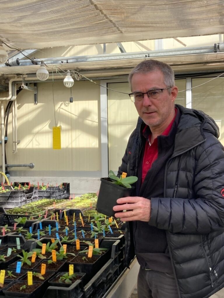 Xavier Simonnet travaille à l'Agroscope, dans le domaine des plantes aromatiques et médicinales