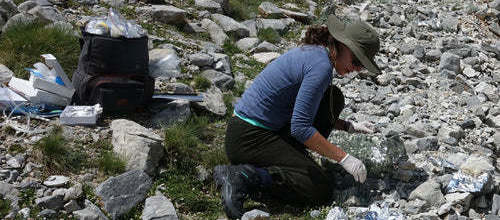 OLYMRA propose des créations olfactives inspirées de la flore rare du mont Olympe grâce à différentes technologies permettant de préserver la biodiversité.