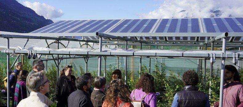 Des panneaux solaires sont installés sur des cultures de petits fruits à Conthey