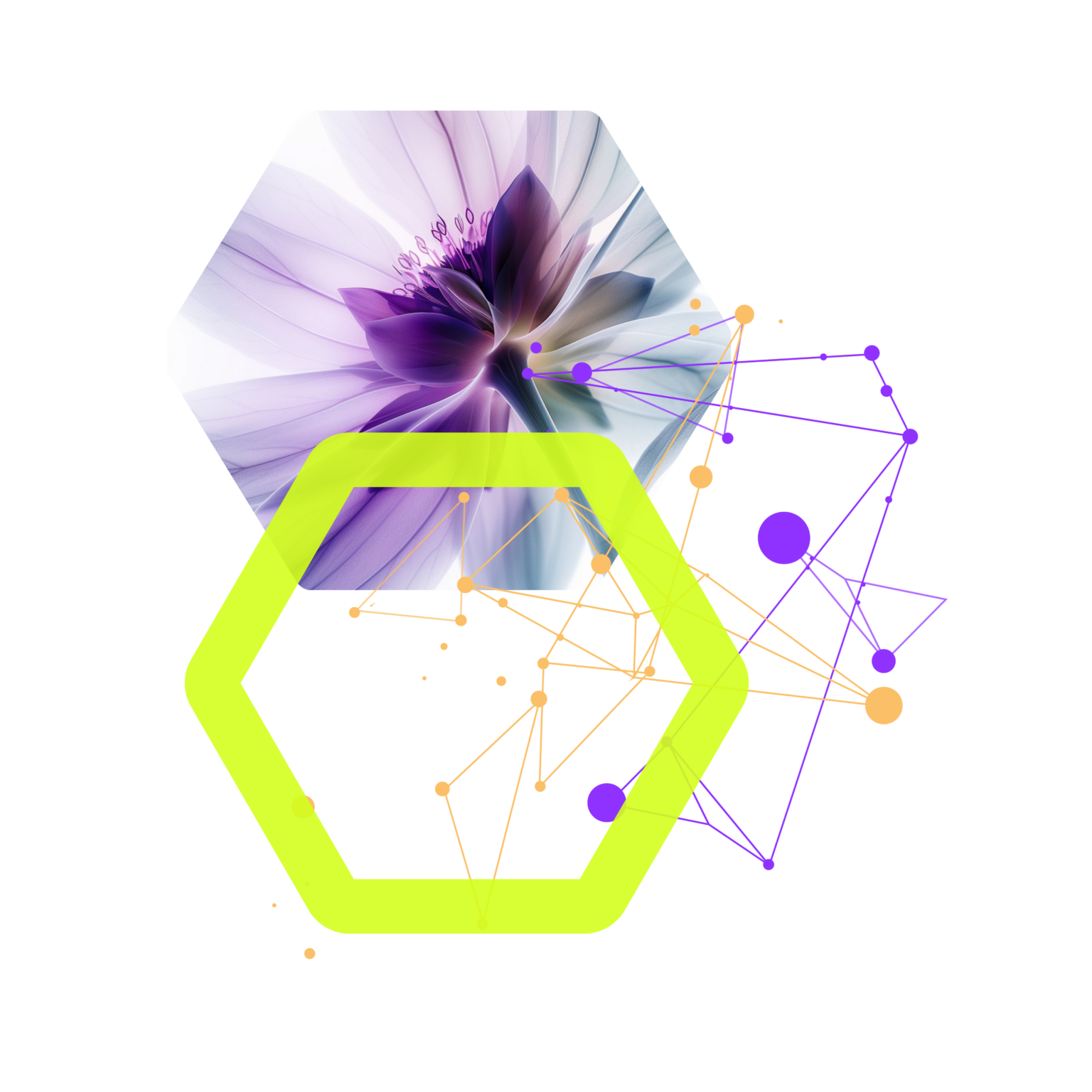 Illustration d’une fleur d’edelweiss connectée à un réseau d’innovation, symbolisant le développement de projets à partir d’ingrédients naturels en Valais – PhytoArk