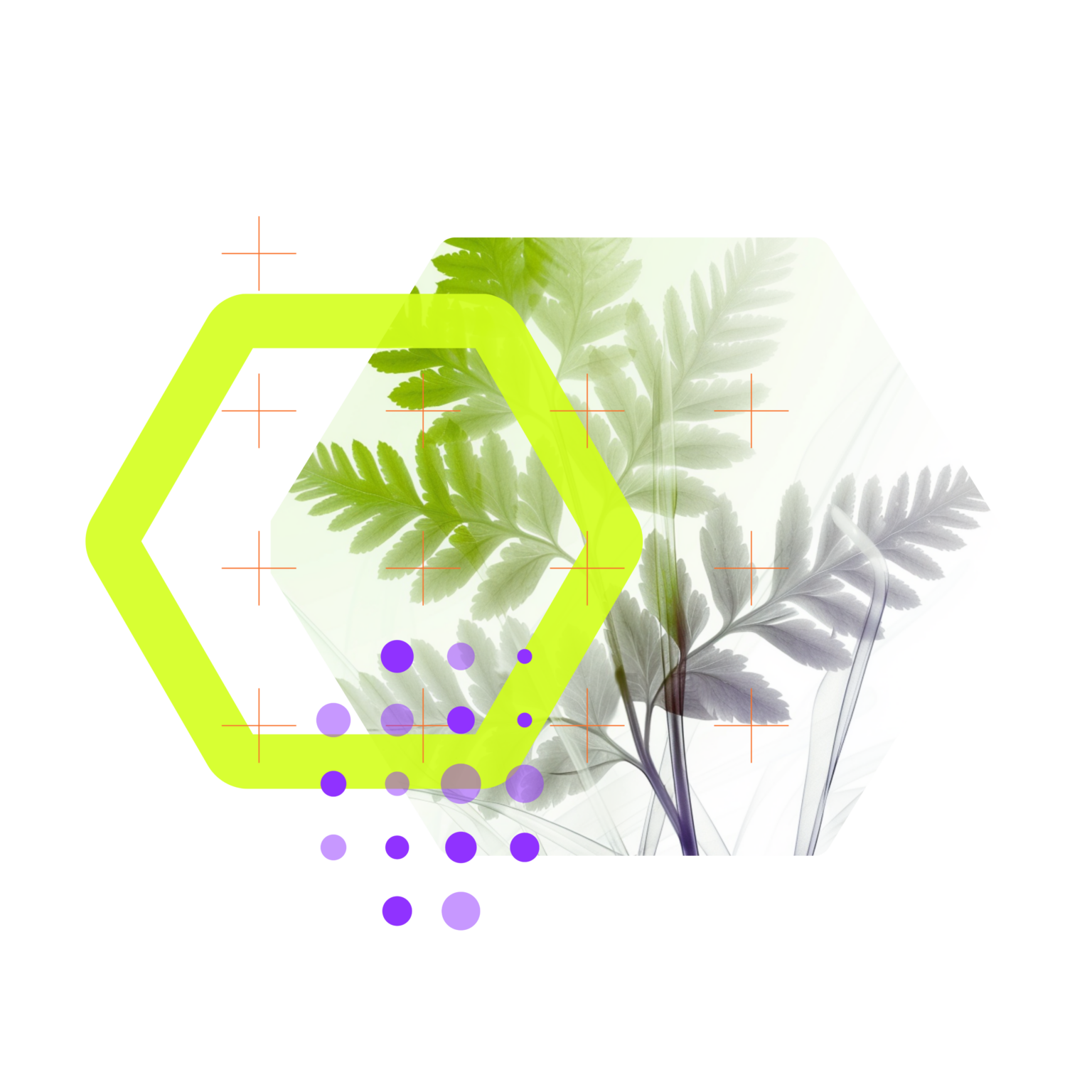 Illustration d’une feuille d’achillée millefeuille connectée à un écosystème d’innovation, symbolisant le développement de projets à partir de ressources végétales en Valais – PhytoArk