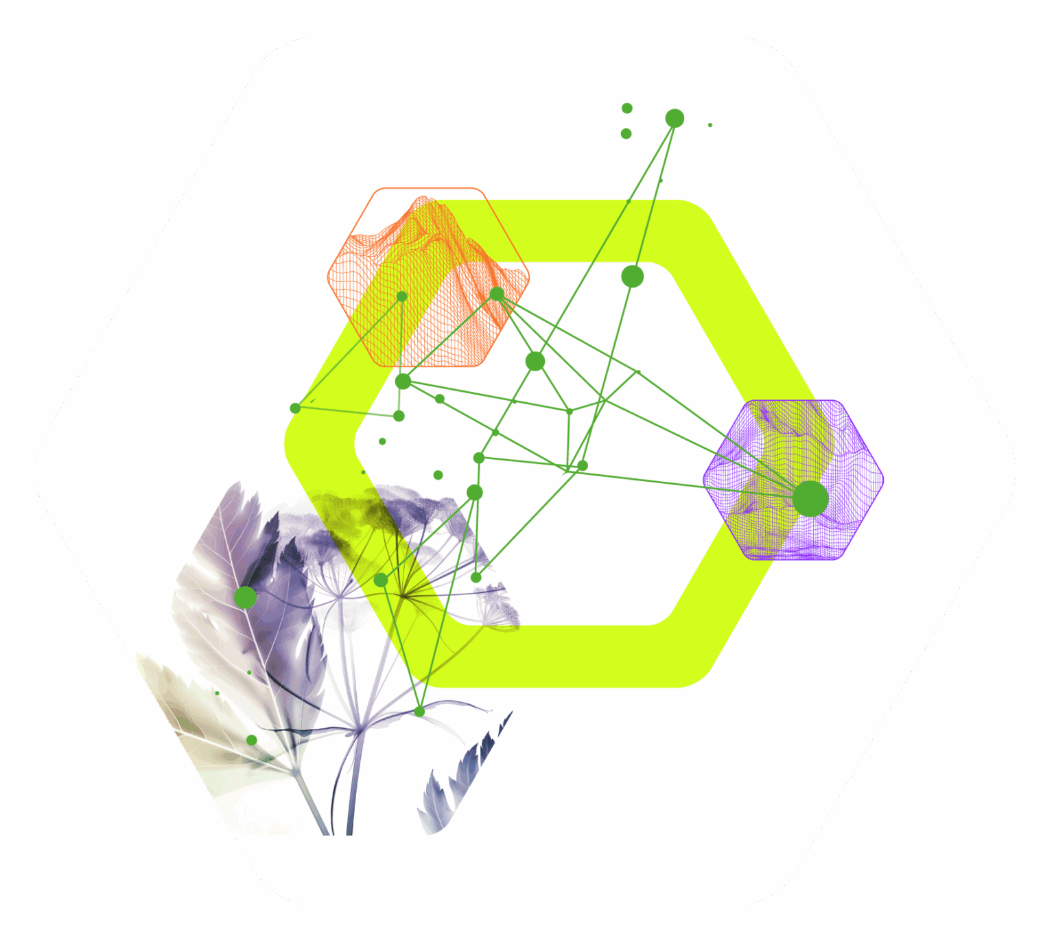 Illustration d’un écosystème d’innovation reliant une plante d’achillée millefeuille à des réseaux technologiques, symbolisant la collaboration autour des ingrédients naturels en Valais – PhytoArk