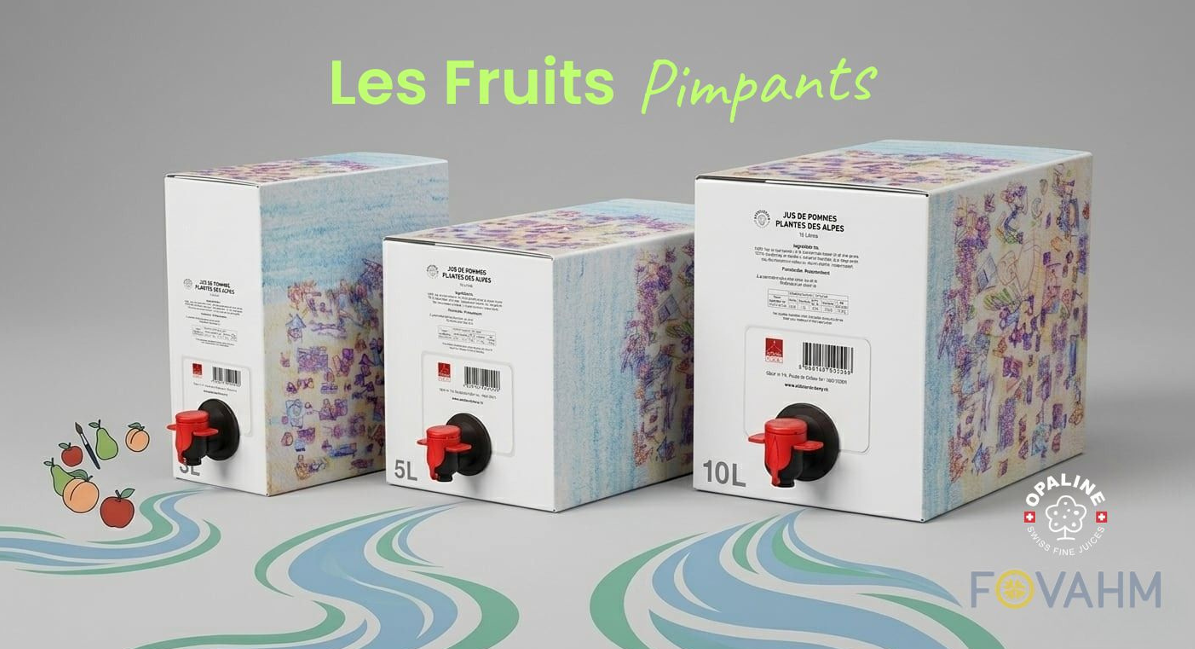 cubis de jus de fruits en carton, décoré avec des dessins artistiques.